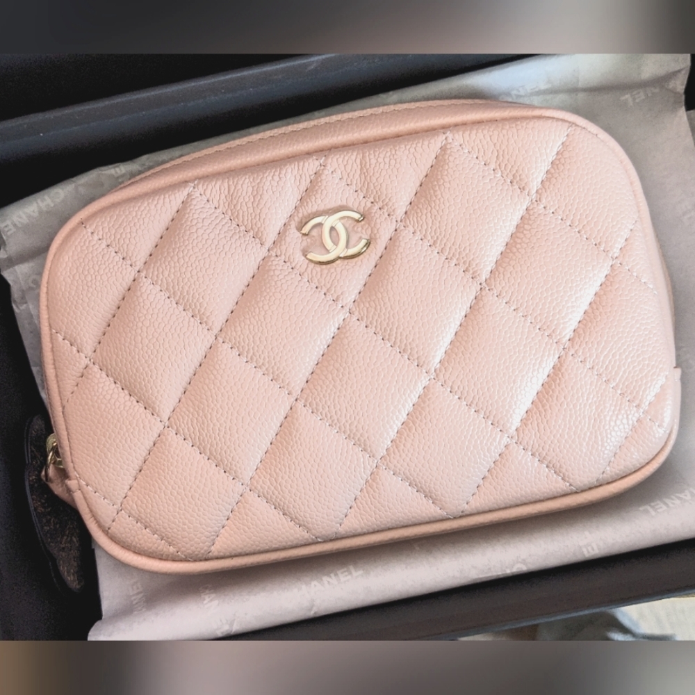 CHANEL 24C Sakura Pink Cosmetics Pouch Case Bag